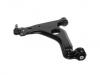 Brazo de suspensión Control Arm:5352 016