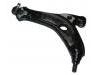 控制臂 Control Arm:6Q0 407 151 DL