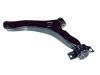 Bras de liaison Control Arm:4 366 974