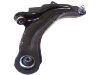 控制臂 Control Arm:82 00 298 455