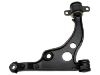 Brazo de suspensión Control Arm:3520.N4