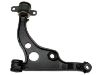 Brazo de suspensión Control Arm:3521.J4