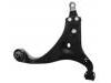 控制臂 Control Arm:54500-2H000