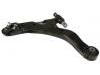 Control Arm:54500-2F000