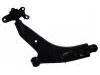 Control Arm:96970076