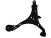 Control Arm:51360-SCA-S00