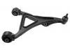 Brazo de suspensión Control Arm:4895040AC