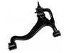 Brazo de suspensión Control Arm:RBJ 500193