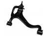 控制臂 Control Arm:RBJ 500183